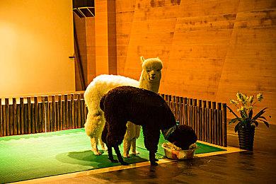 《绝区零》测试预约破百万 测试设备要求公布